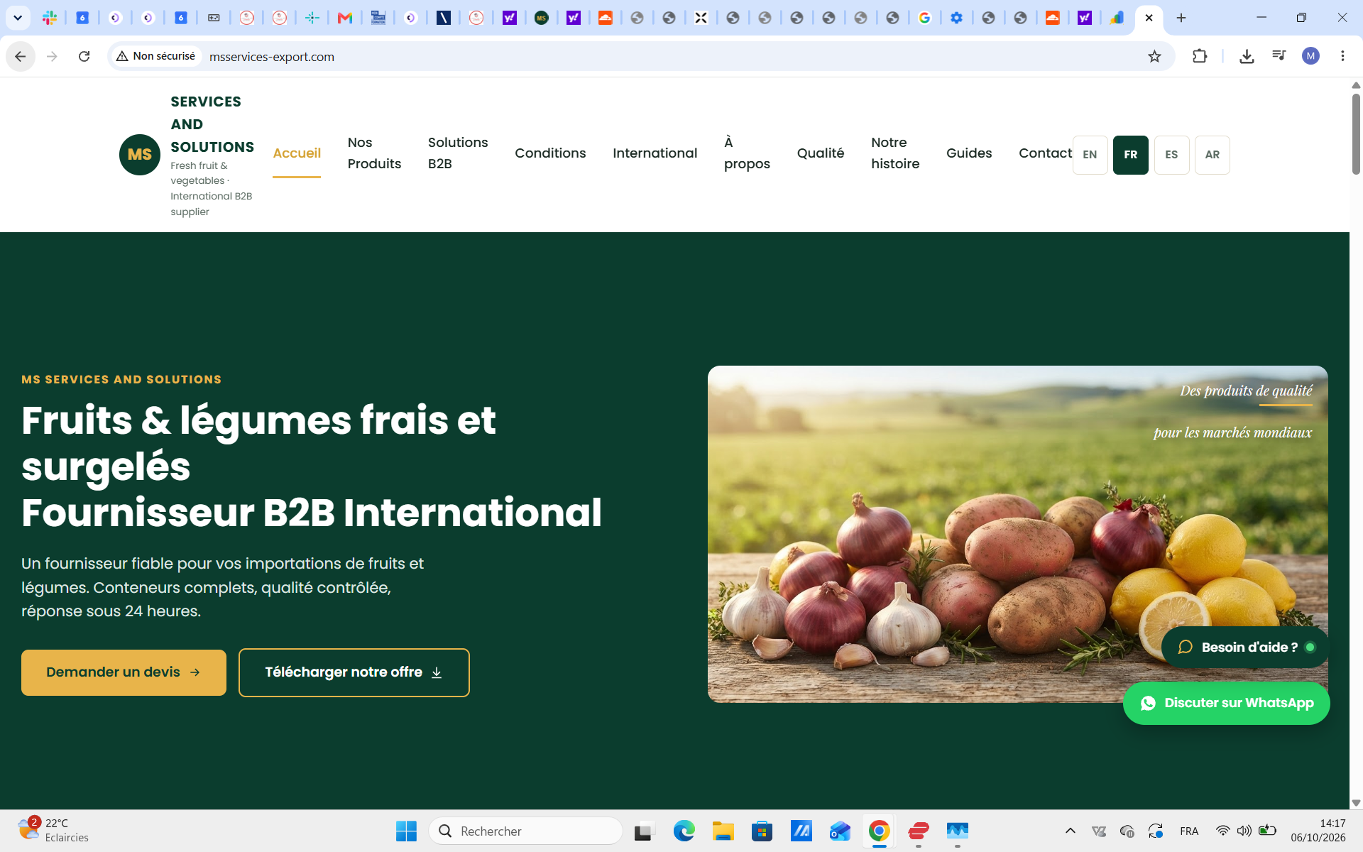 Betteraves rouges surgelées en dés IQF en sacs de 10 à 20 kg
